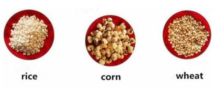 corn01